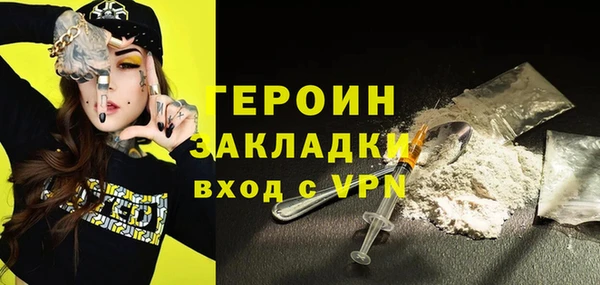 твердый Гатчина