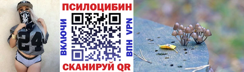 Псилоцибиновые грибы GOLDEN TEACHER  Нытва 